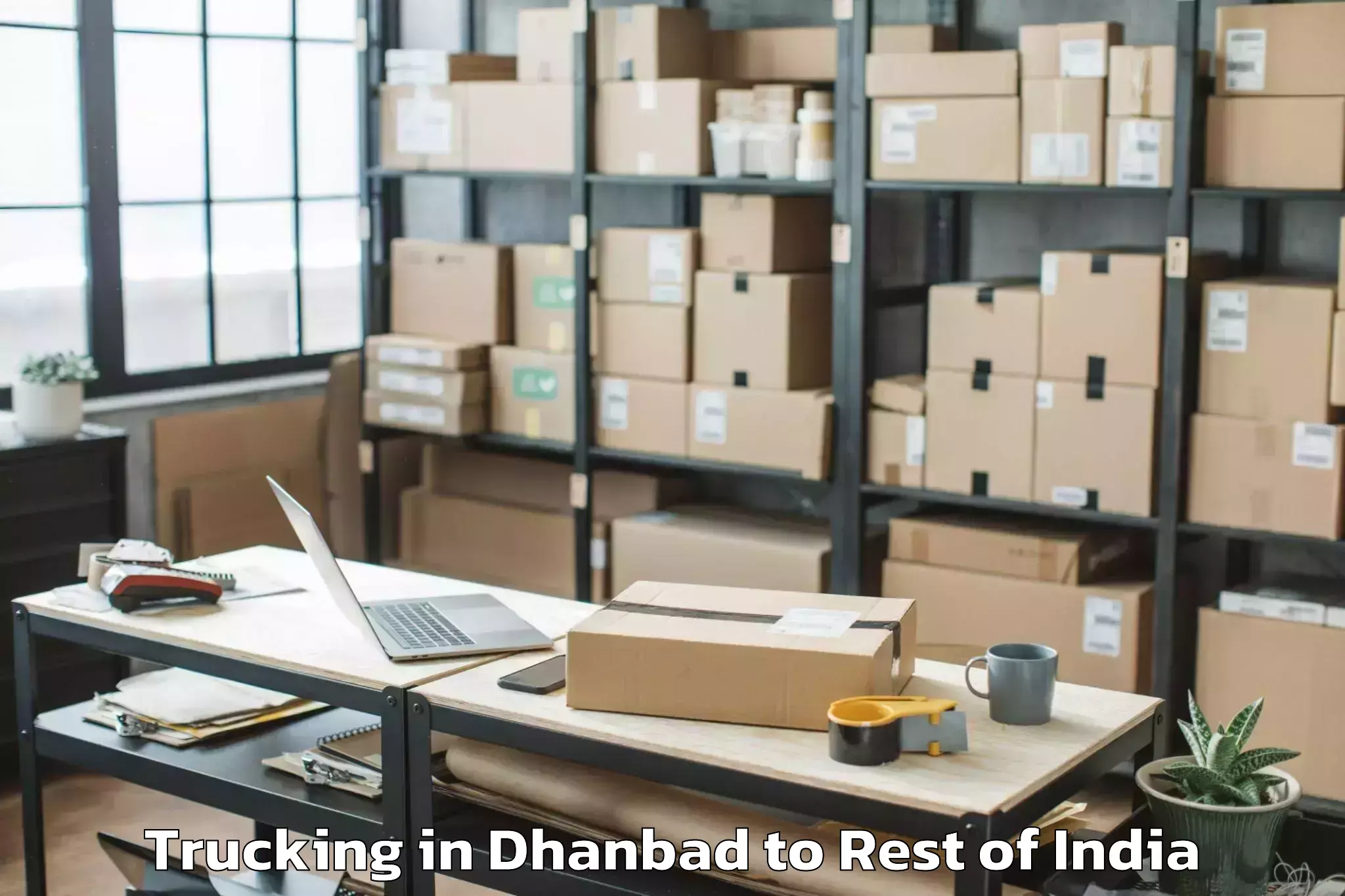 Easy Dhanbad to Bhikiyasan Trucking Booking